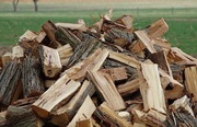 Продам дрова из акации колотые в Днепропетровске