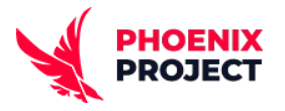 Професійне SEO просування спеціалістами з компанії Phoenix Project - main