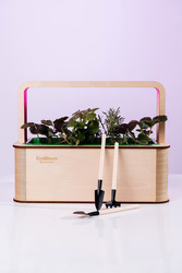 EcoBloom Smart Garden Розумний сад вдома - foto 4