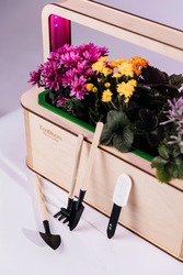 EcoBloom Smart Garden Розумний сад вдома - foto 2
