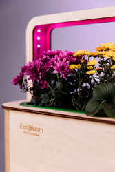 EcoBloom Smart Garden Розумний сад вдома - foto 3