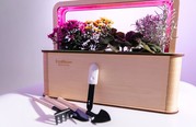 EcoBloom Smart Garden Розумний сад вдома - foto 1