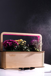 EcoBloom Smart Garden Розумний сад вдома - foto 0